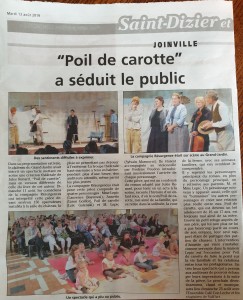 ARTICLE JHM POIL DE CAROTTE JOINVILLE